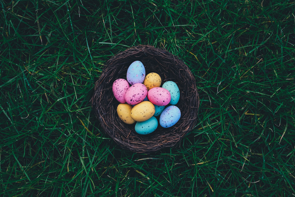 Sweet success for seasonal chocolate Sweet success for seasonal chocolate